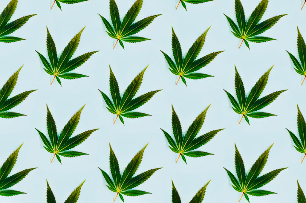 Hemp 001 (one magnetic cover only)