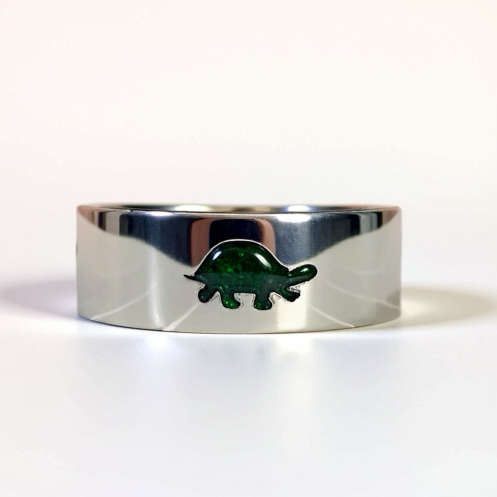 Turtle Time