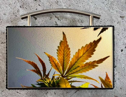 Hemp 006 (one magnetic cover only)